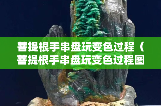 菩提根手串盘玩变色过程（菩提根手串盘玩变色过程图）
