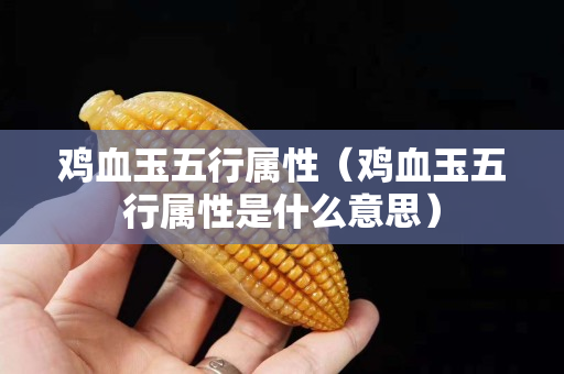 鸡血玉五行属性（鸡血玉五行属性是什么意思）