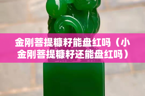 金刚菩提糠籽能盘红吗（小金刚菩提糠籽还能盘红吗）