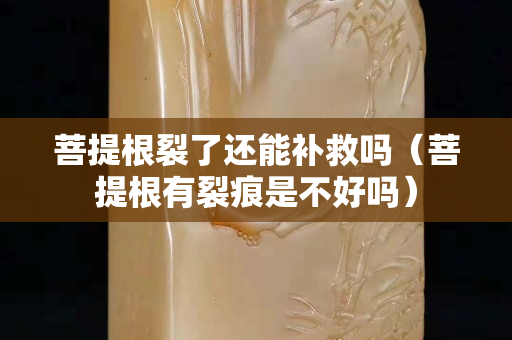 菩提根裂了还能补救吗（菩提根有裂痕是不好吗）