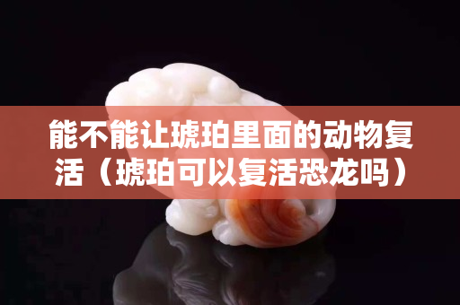 能不能让琥珀里面的动物复活（琥珀可以复活恐龙吗）
