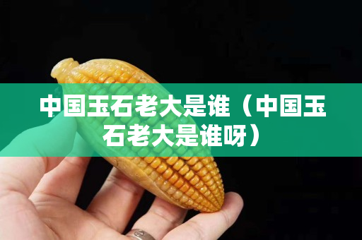 中国玉石老大是谁（中国玉石老大是谁呀）