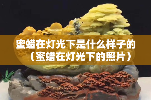 蜜蜡在灯光下是什么样子的（蜜蜡在灯光下的照片）