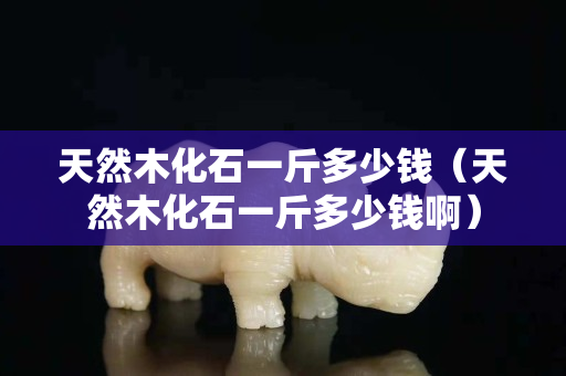 天然木化石一斤多少钱（天然木化石一斤多少钱啊）