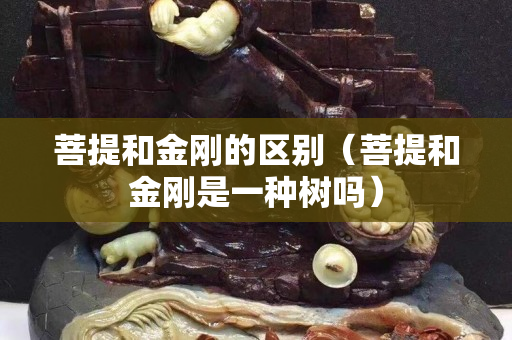 菩提和金刚的区别（菩提和金刚是一种树吗）
