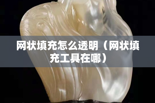 网状填充怎么透明（网状填充工具在哪）