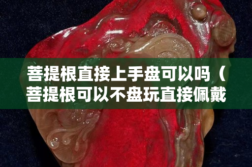 菩提根直接上手盘可以吗（菩提根可以不盘玩直接佩戴嘛）