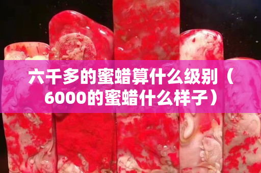六千多的蜜蜡算什么级别（6000的蜜蜡什么样子）