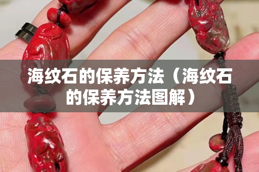 海纹石的保养方法（海纹石的保养方法图解）