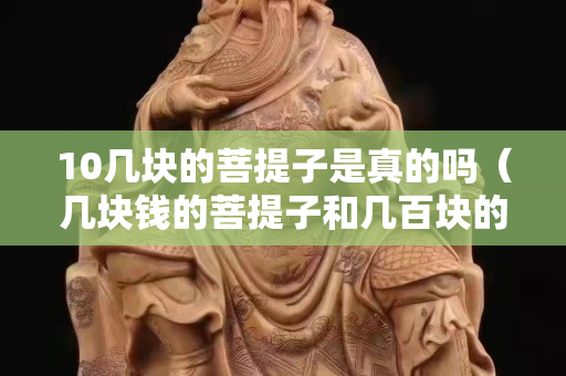 10几块的菩提子是真的吗（几块钱的菩提子和几百块的区别）
