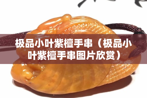 极品小叶紫檀手串（极品小叶紫檀手串图片欣赏）