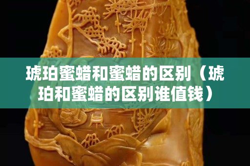 琥珀蜜蜡和蜜蜡的区别（琥珀和蜜蜡的区别谁值钱）