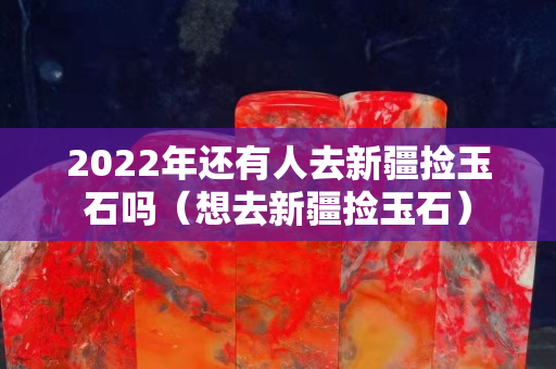 2022年还有人去新疆捡玉石吗（想去新疆捡玉石）