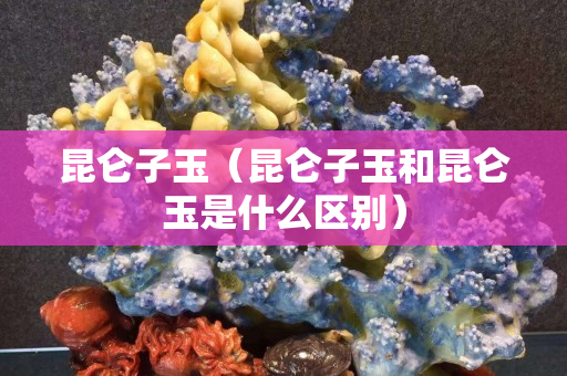 昆仑子玉（昆仑子玉和昆仑玉是什么区别）