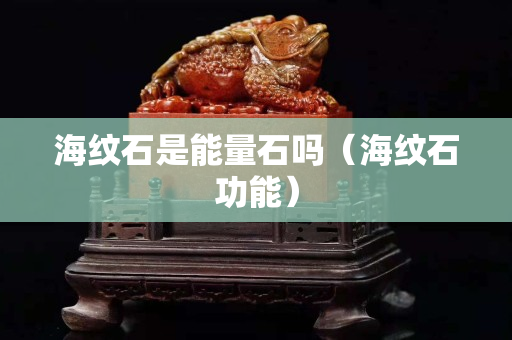 海纹石是能量石吗（海纹石功能）