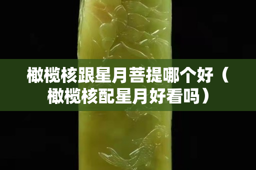 橄榄核跟星月菩提哪个好（橄榄核配星月好看吗）