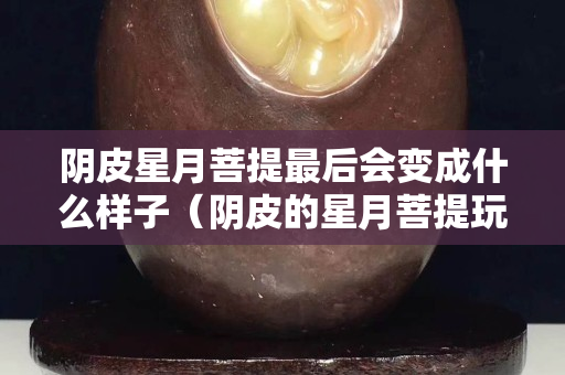 阴皮星月菩提最后会变成什么样子（阴皮的星月菩提玩出来是什么效果）