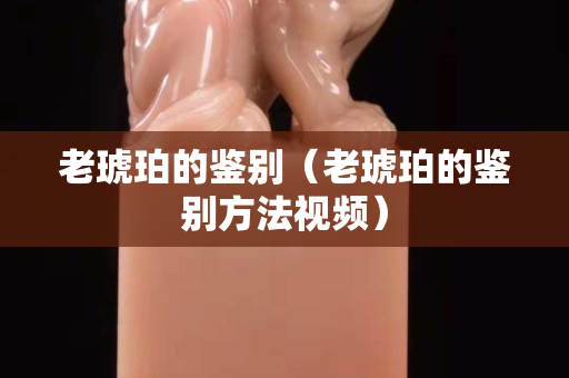 老琥珀的鉴别（老琥珀的鉴别方法视频）