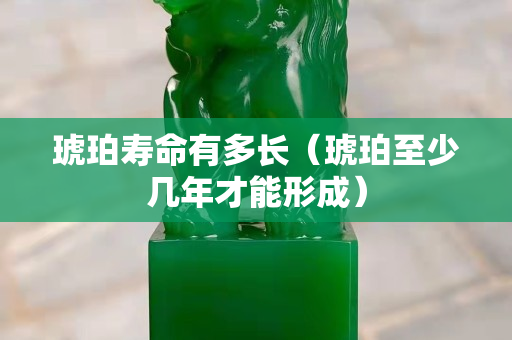 琥珀寿命有多长（琥珀至少几年才能形成）