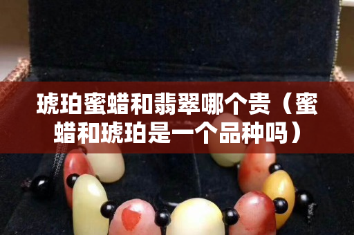琥珀蜜蜡和翡翠哪个贵（蜜蜡和琥珀是一个品种吗）