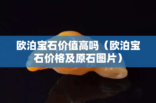 欧泊宝石价值高吗（欧泊宝石价格及原石图片）