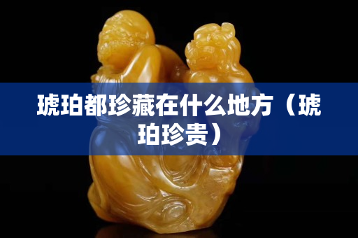 琥珀都珍藏在什么地方（琥珀珍贵）