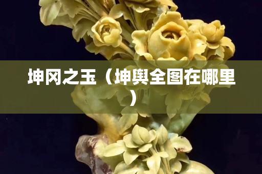 坤冈之玉（坤舆全图在哪里）