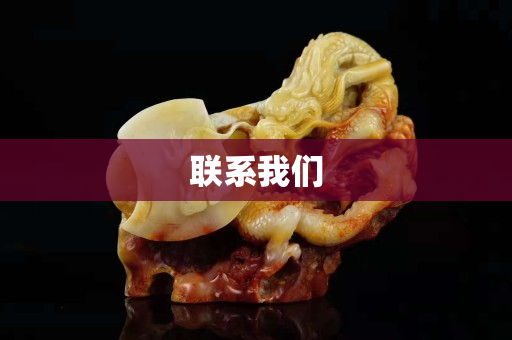 联系我们