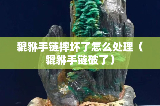 貔貅手链摔坏了怎么处理（貔貅手链破了）