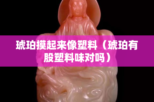 琥珀摸起来像塑料（琥珀有股塑料味对吗）