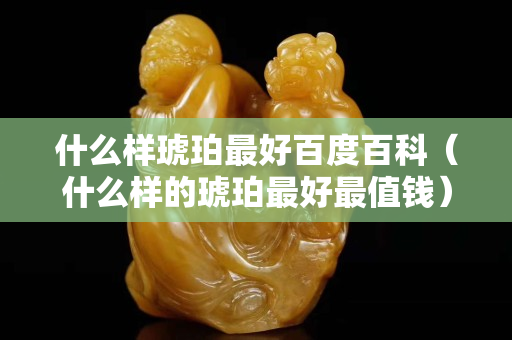 什么样琥珀最好百度百科（什么样的琥珀最好最值钱）