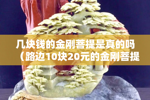 几块钱的金刚菩提是真的吗（路边10块20元的金刚菩提）