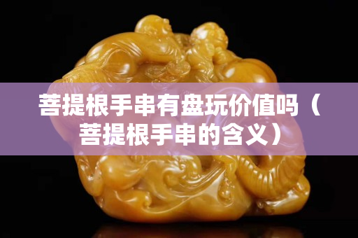 菩提根手串有盘玩价值吗（菩提根手串的含义）
