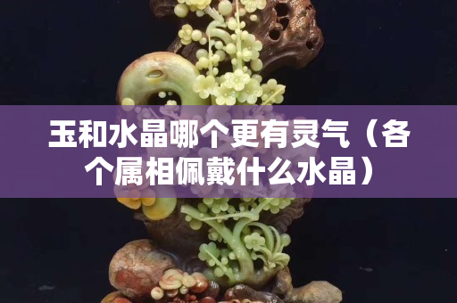 玉和水晶哪个更有灵气（各个属相佩戴什么水晶）