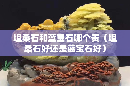 坦桑石和蓝宝石哪个贵（坦桑石好还是蓝宝石好）