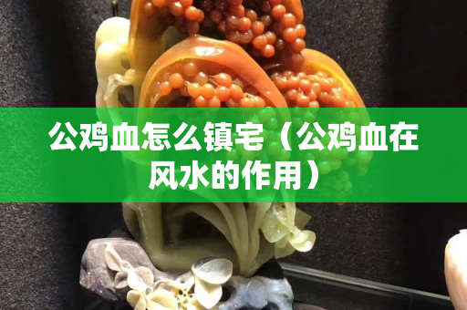 公鸡血怎么镇宅（公鸡血在风水的作用）