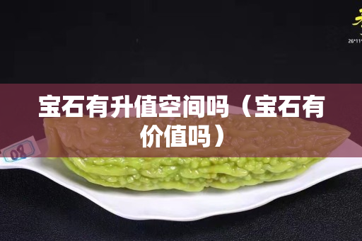 宝石有升值空间吗（宝石有价值吗）