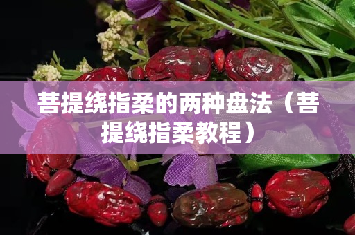 菩提绕指柔的两种盘法（菩提绕指柔教程）