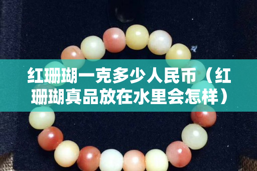 红珊瑚一克多少人民币（红珊瑚真品放在水里会怎样）