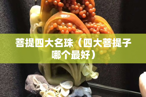 菩提四大名珠（四大菩提子哪个最好）