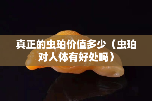 真正的虫珀价值多少（虫珀对人体有好处吗）