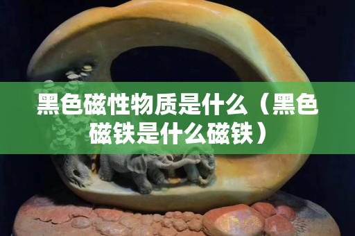 黑色磁性物质是什么（黑色磁铁是什么磁铁）