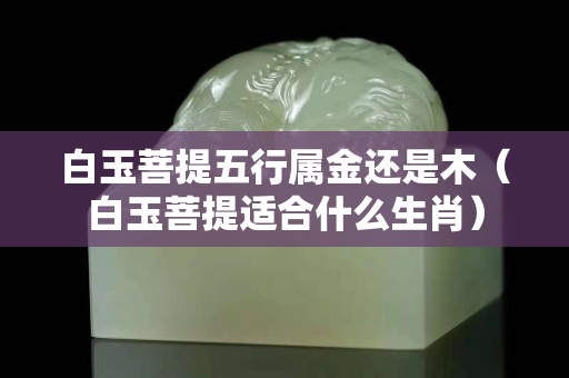 白玉菩提五行属金还是木（白玉菩提适合什么生肖）