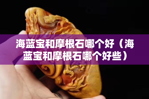 海蓝宝和摩根石哪个好（海蓝宝和摩根石哪个好些）