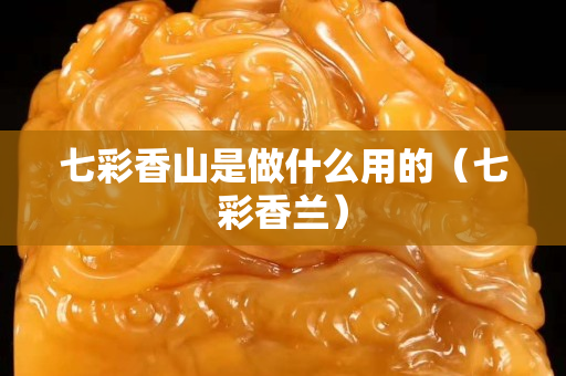 七彩香山是做什么用的（七彩香兰）