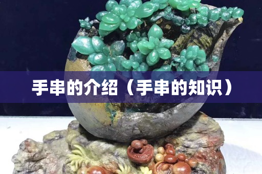 手串的介绍（手串的知识）
