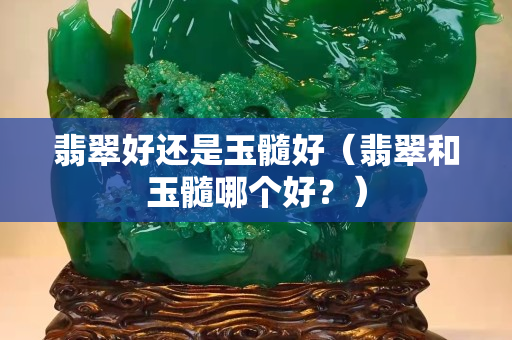 翡翠好还是玉髓好（翡翠和玉髓哪个好？）