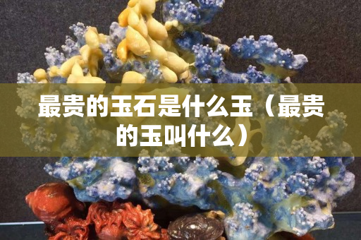 最贵的玉石是什么玉（最贵的玉叫什么）