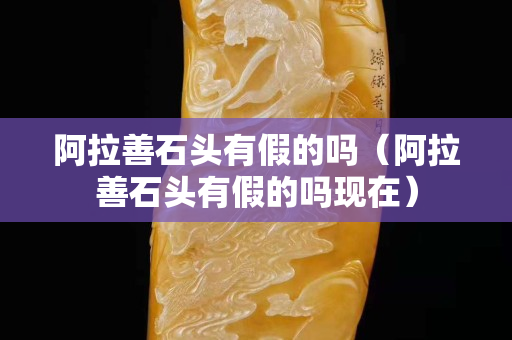 阿拉善石头有假的吗（阿拉善石头有假的吗现在）