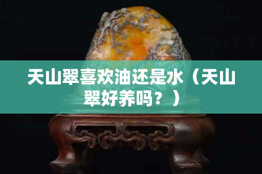 天山翠喜欢油还是水（天山翠好养吗？）